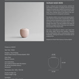 Sunao Vase, Mini - Rose