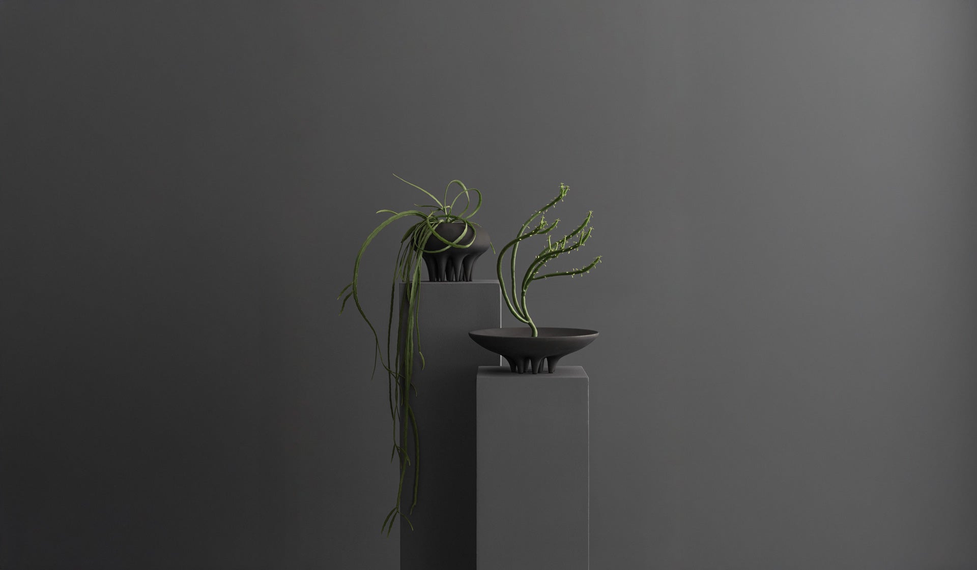 101 Copenhagen Medusa tray and vase with succulents arranged by Bosque