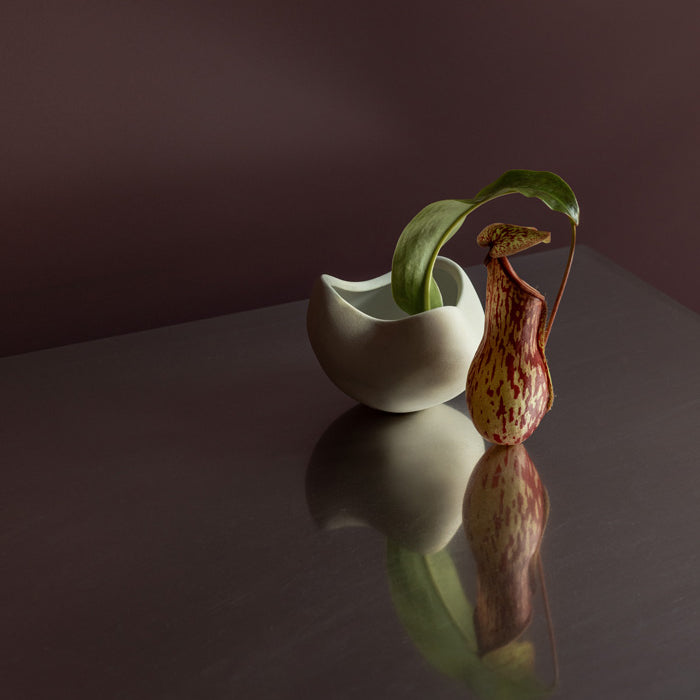 101 Copenhagen Curve Bowl with exotic botanical arrangement by Bosque