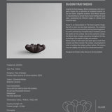 Bloom Tray, Medio - Chocolate Brown