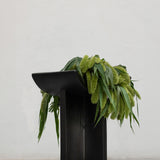 Brutus Stool - Coffee with plants