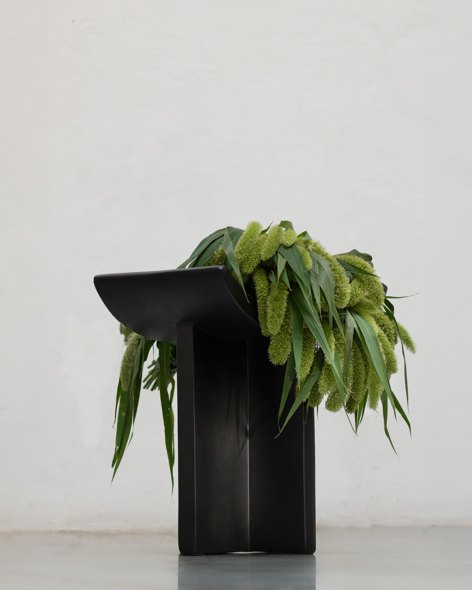Brutus Stool - Coffee with plants