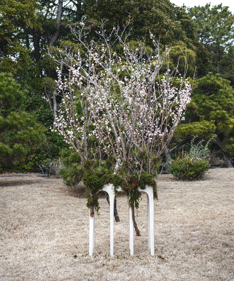 Decorative floral arrangement by Hikaru Seino on Birch Bow Console with a natural background
