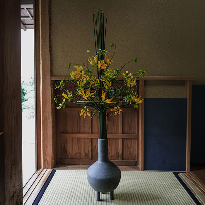 Botanical Collaborations – 101 Copenhagen