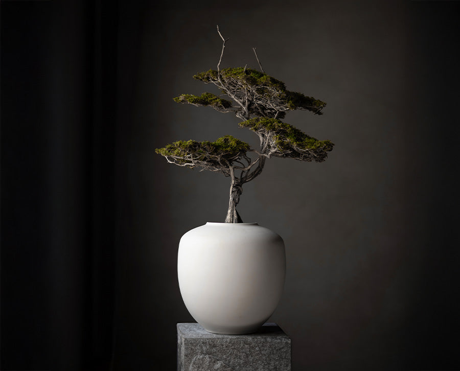 Sunao vase Medio Birch styled by Labotanica
