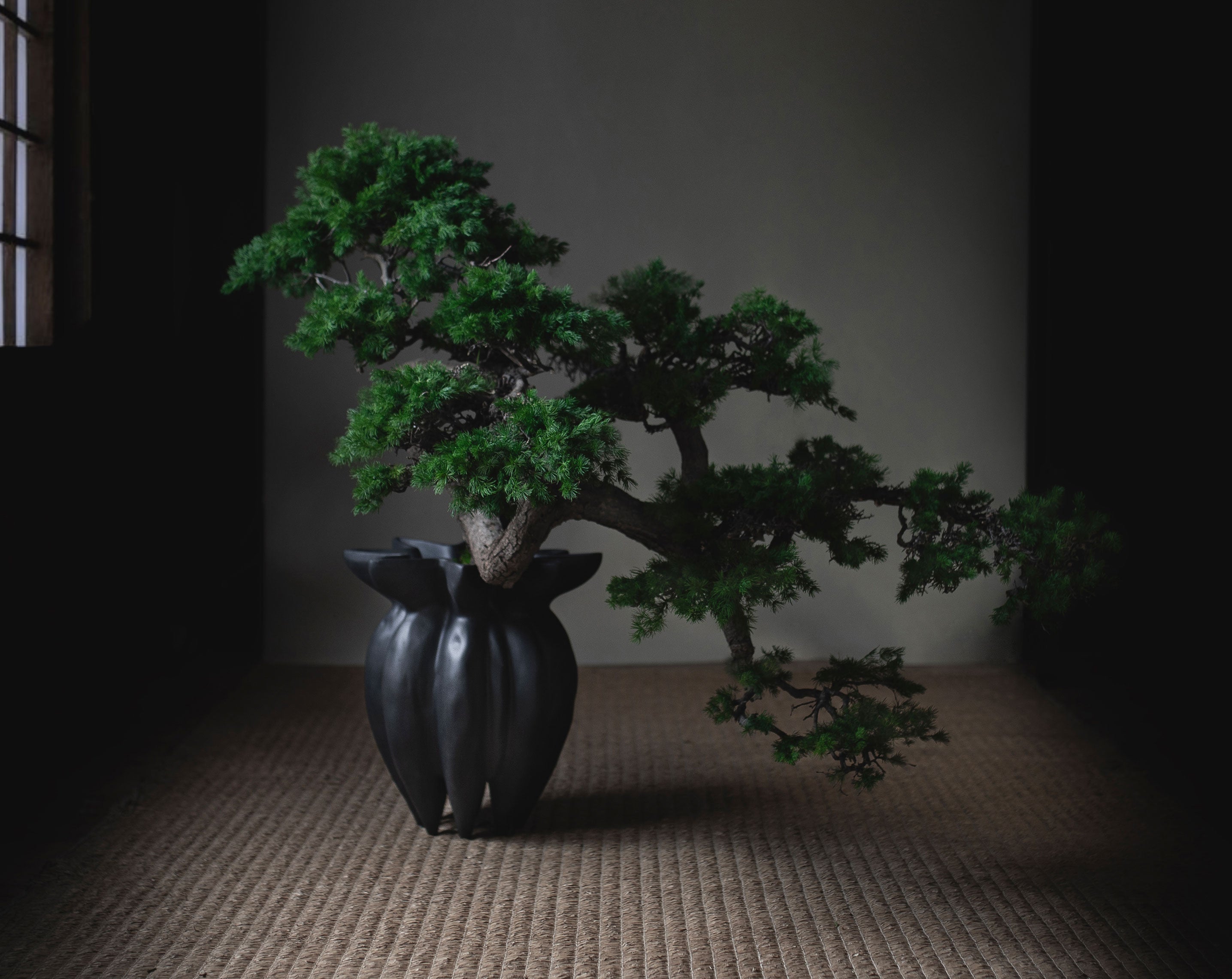 101 Copenhagen Lotus vase with Bosai tree styled by Labotanica