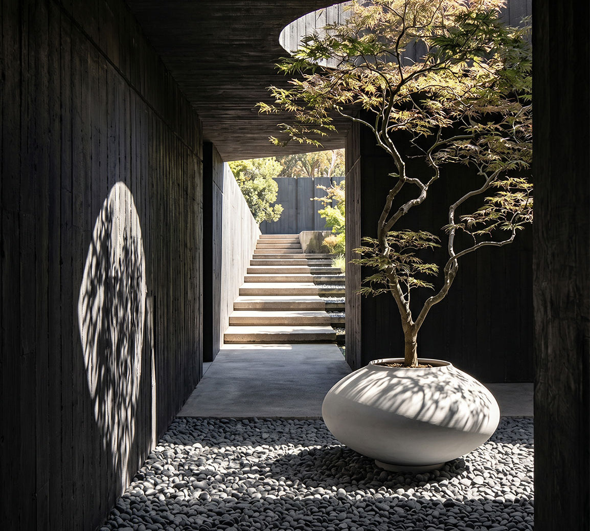 Sunao Ellipse Plant pot with a tree in a modern architectural setting with stairs and walls.