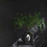 Offset Vase, Mini - Dark Grey