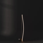 101 Copenhagen Bow floor Lamp turned on and off