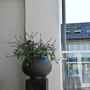 Urchin Plant Pot, Medio - Coffee - 101 CPH